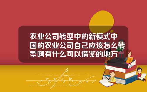 农业公司转型中的新模式中国的农业公司自己应该怎么转型啊有什么可以借鉴的地方