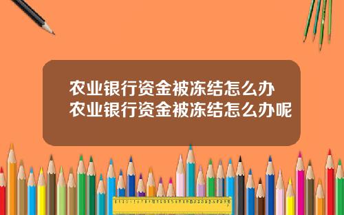 农业银行资金被冻结怎么办农业银行资金被冻结怎么办呢