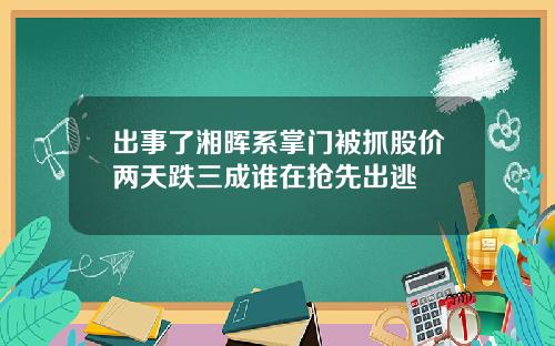 出事了湘晖系掌门被抓股价两天跌三成谁在抢先出逃