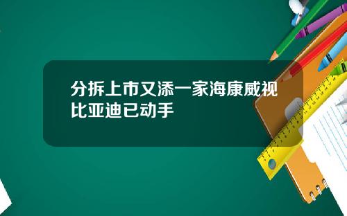 分拆上市又添一家海康威视比亚迪已动手