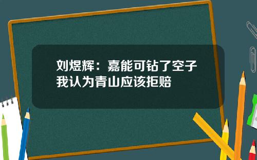 刘煜辉：嘉能可钻了空子 我认为青山应该拒赔