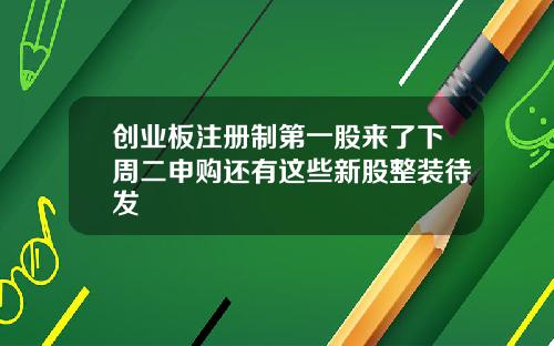 创业板注册制第一股来了下周二申购还有这些新股整装待发