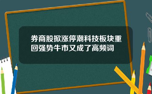 券商股掀涨停潮科技板块重回强势牛市又成了高频词