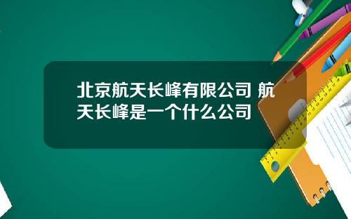 北京航天长峰有限公司 航天长峰是一个什么公司