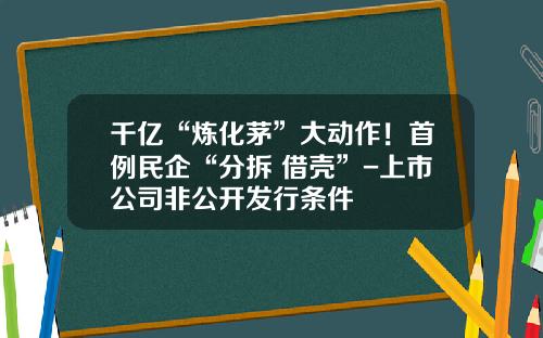 千亿“炼化茅”大动作！首例民企“分拆+借壳”-上市公司非公开发行条件