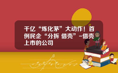 千亿“炼化茅”大动作！首例民企“分拆+借壳”-借壳上市的公司