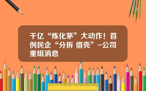 千亿“炼化茅”大动作！首例民企“分拆+借壳”-公司重组消息