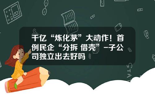 千亿“炼化茅”大动作！首例民企“分拆+借壳”-子公司独立出去好吗