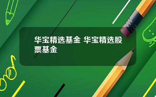 华宝精选基金 华宝精选股票基金