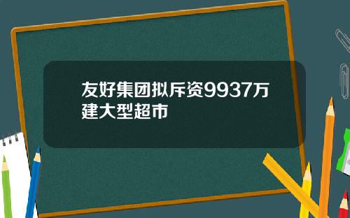 友好集团拟斥资9937万建大型超市