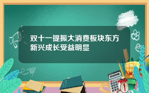 双十一提振大消费板块东方新兴成长受益明显