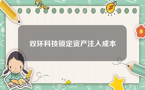 双环科技锁定资产注入成本