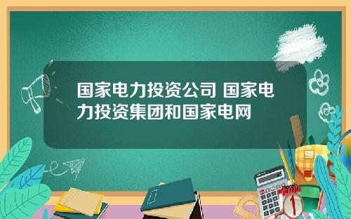 国家电力投资公司 国家电力投资集团和国家电网