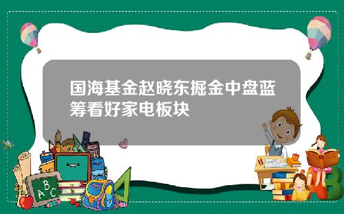 国海基金赵晓东掘金中盘蓝筹看好家电板块