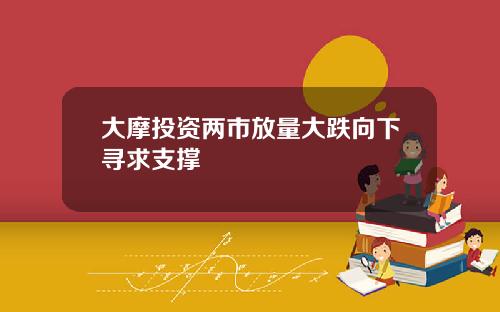 大摩投资两市放量大跌向下寻求支撑