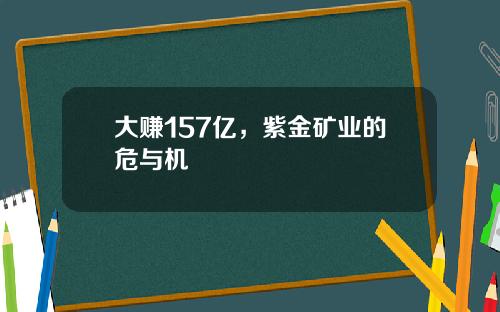 大赚157亿，紫金矿业的危与机