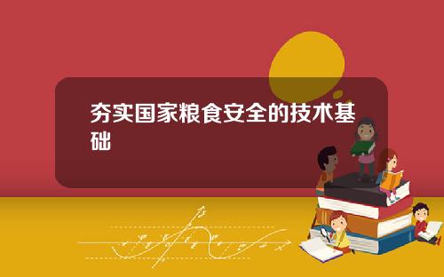 夯实国家粮食安全的技术基础