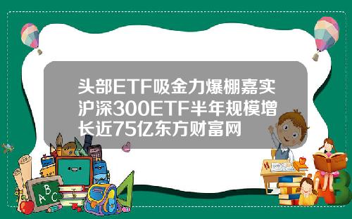 头部ETF吸金力爆棚嘉实沪深300ETF半年规模增长近75亿东方财富网