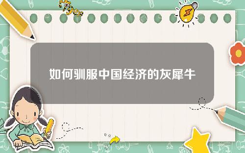 如何驯服中国经济的灰犀牛