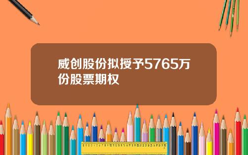 威创股份拟授予5765万份股票期权