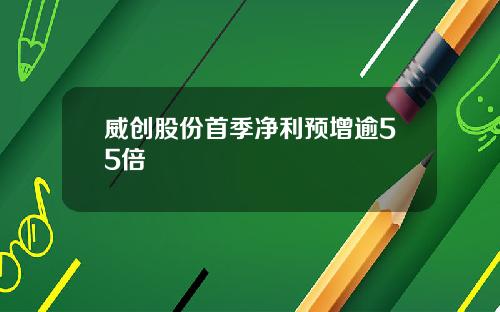 威创股份首季净利预增逾55倍