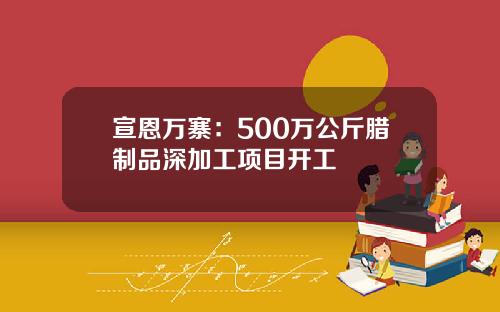 宣恩万寨：500万公斤腊制品深加工项目开工
