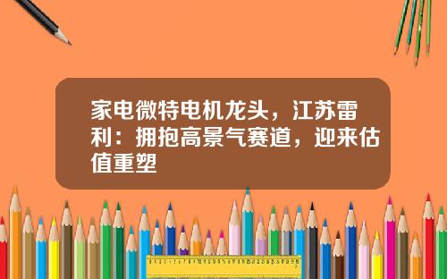 家电微特电机龙头，江苏雷利：拥抱高景气赛道，迎来估值重塑
