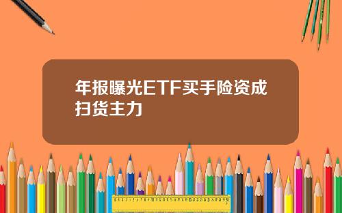 年报曝光ETF买手险资成扫货主力