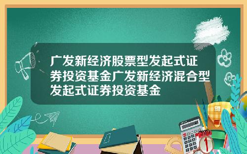 广发新经济股票型发起式证券投资基金广发新经济混合型发起式证券投资基金