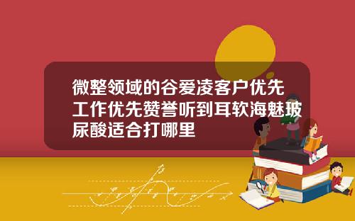 微整领域的谷爱凌客户优先工作优先赞誉听到耳软海魅玻尿酸适合打哪里
