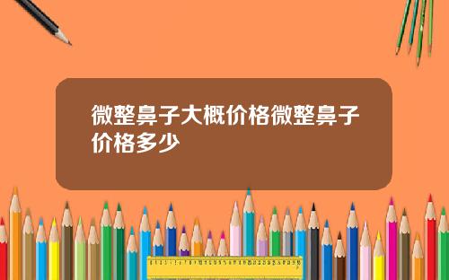 微整鼻子大概价格微整鼻子价格多少