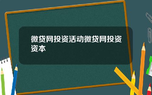 微贷网投资活动微贷网投资资本