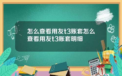 怎么查看用友t3账套怎么查看用友t3账套明细