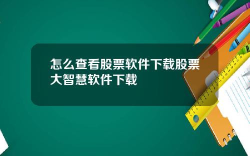 怎么查看股票软件下载股票大智慧软件下载