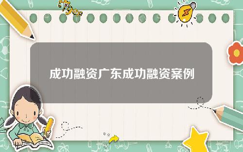 成功融资广东成功融资案例