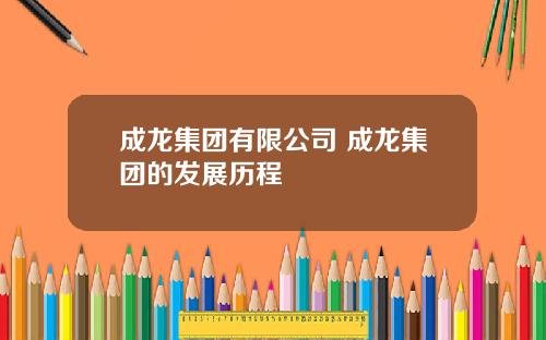 成龙集团有限公司 成龙集团的发展历程