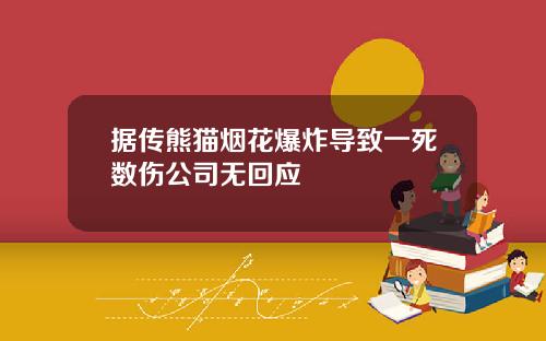 据传熊猫烟花爆炸导致一死数伤公司无回应