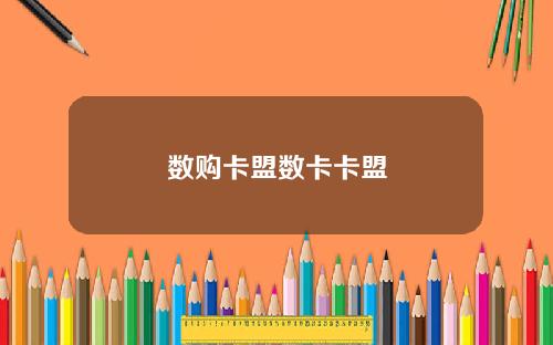 数购卡盟数卡卡盟