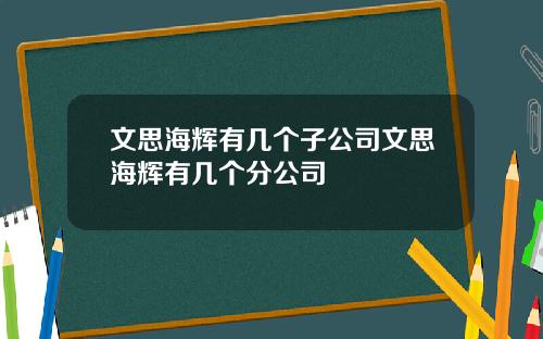 文思海辉有几个子公司文思海辉有几个分公司