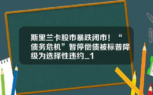 斯里兰卡股市暴跌闭市！“债务危机”暂停偿债被标普降级为选择性违约_1