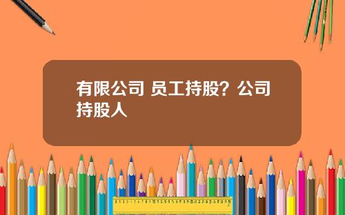 有限公司 员工持股？公司持股人