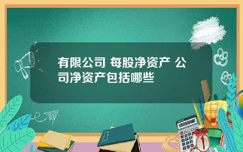 有限公司 每股净资产 公司净资产包括哪些