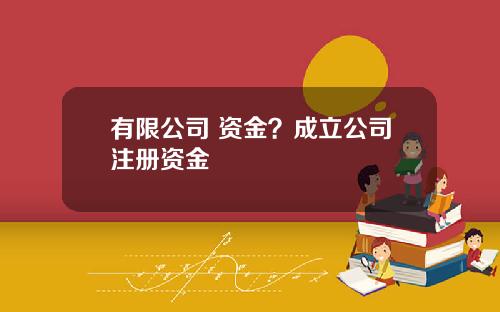 有限公司 资金？成立公司注册资金