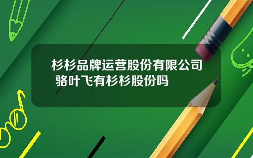 杉杉品牌运营股份有限公司 骆叶飞有杉杉股份吗