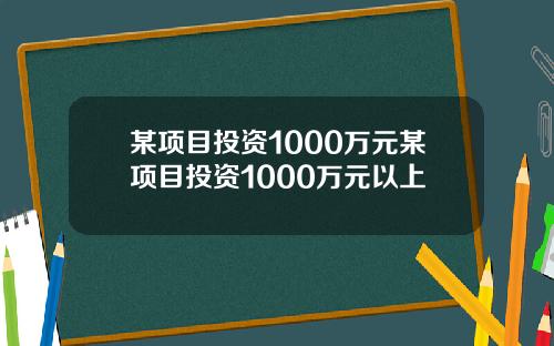 某项目投资1000万元某项目投资1000万元以上