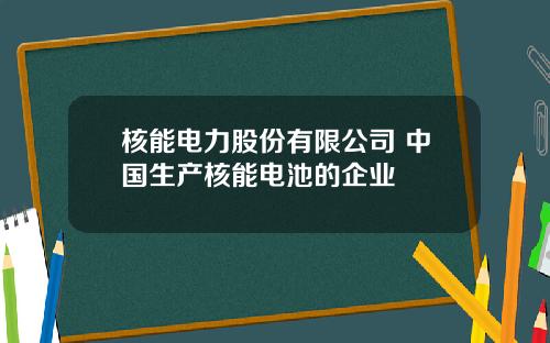 核能电力股份有限公司 中国生产核能电池的企业