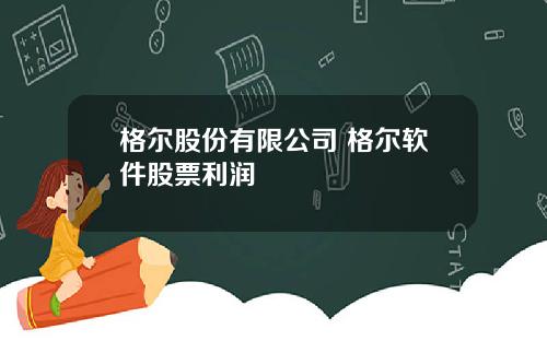 格尔股份有限公司 格尔软件股票利润
