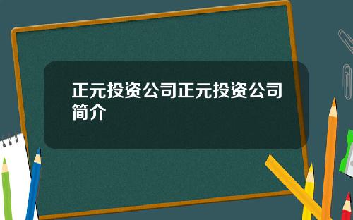 正元投资公司正元投资公司简介