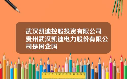 武汉凯迪控股投资有限公司贵州武汉凯迪电力股份有限公司是国企吗