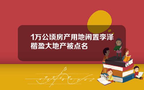 1万公顷房产用地闲置李泽楷盈大地产被点名
